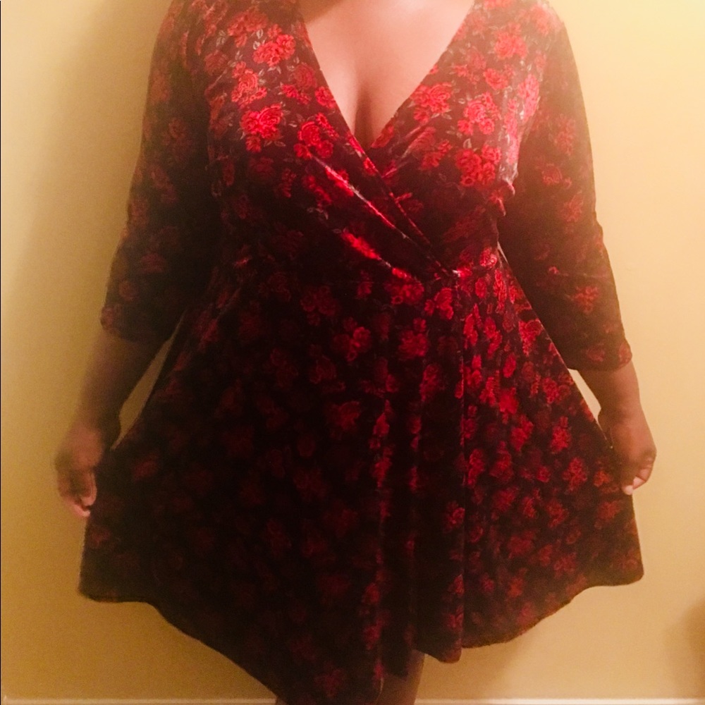 ❗️NEW Velvet Roses Skater Dress (plus size)